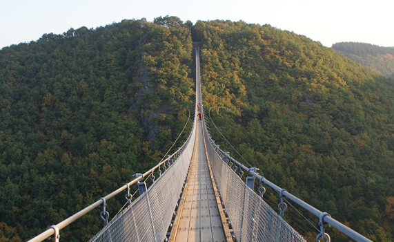 haengeseilbruecke_geierlay