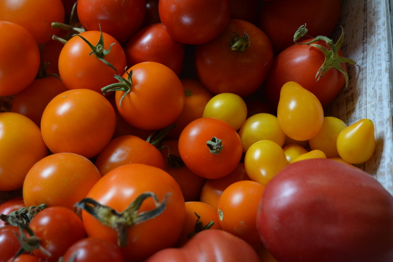 tomaten
